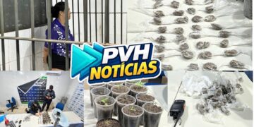 VÍDEO: Equipe do sgt Ribeiro prende mulher com porções de drogas e plantação de maconha