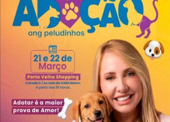 Deputada Ieda Chaves divulga feira de adoção de cães e gatos em parceria com ONG Peludinhos