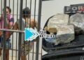 TRÁFICO: Mãe e filha são presas com crack em residência na Vila Princesa