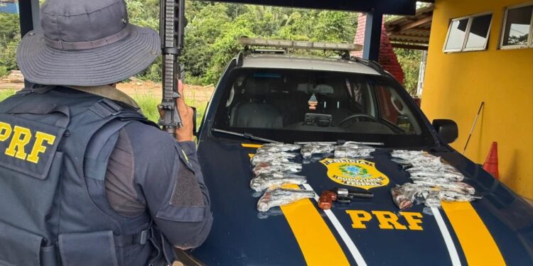 BR-364: PRF prende passageiro de ônibus com 14 armas em Porto Velho