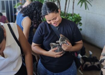 Ieda Chaves participa de feira de adoção de animais que garante 97 lares em Porto Velho