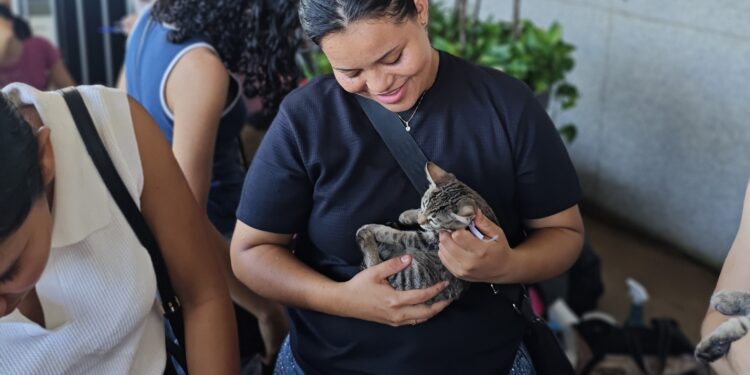Ieda Chaves participa de feira de adoção de animais que garante 97 lares em Porto Velho