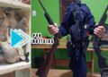PREDATÓRIA: Operação conjunta entre PM e Sedam apreende armas e 30kg de peixe com trio na capital