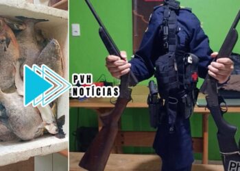 PREDATÓRIA: Operação conjunta entre PM e Sedam apreende armas e 30kg de peixe com trio na capital