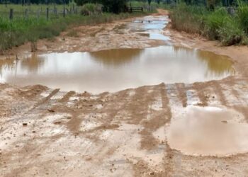 Alex Redano solicita melhorias nas Linhas 2 e 9 em Candeias do Jamari