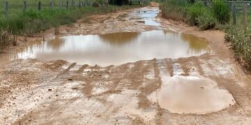 Alex Redano solicita melhorias nas Linhas 2 e 9 em Candeias do Jamari