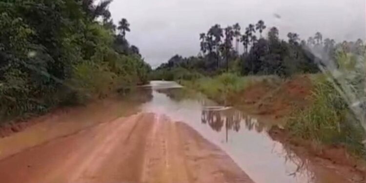 Deputado Alex Redano solicita recuperação urgente de estrada em Alto Paraíso