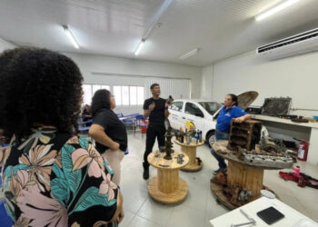 Dia do Mecânico: lei criada pelo deputado Luizinho Goebel é aprovada na Alero