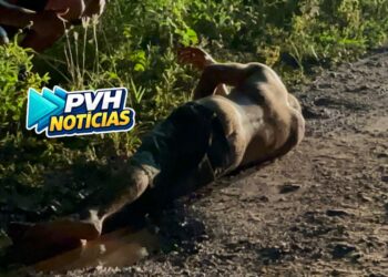 URGENTE: Ciclista é atacado a tiros por dupla em moto na leste
