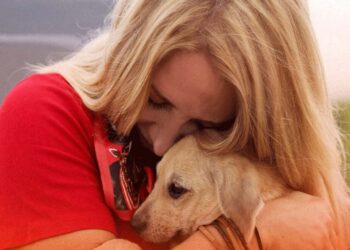 Deputada Ieda Chaves destaca Abril Laranja em Rondônia e reforça combate aos maus-tratos contra animais