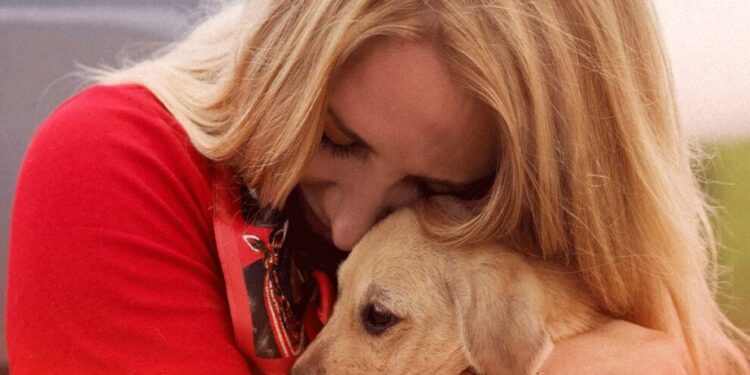 Deputada Ieda Chaves destaca Abril Laranja em Rondônia e reforça combate aos maus-tratos contra animais