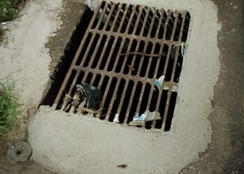 Pedro Geovar cobra providências e prefeitura realiza melhorias em rua do bairro Olaria