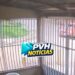 VÍDEO: Piloto sem CNH fica ferido em forte batida com carro no centro