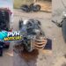 MAIS UM: Moto de alta cilindrada parte ao meio e piloto é socorrido intubado em acidente grave