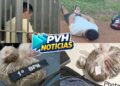 NA GARUPA DO APP: Homem é preso com sacola de maconha dentro de mochila