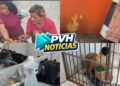 ATUALIZADA: “Xuxa e Vivi” são presas após furto em salão de beleza e uso de cartão da vítima – Veja Vídeo