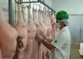 SEGURANÇA ALIMENTAR: Empresas privadas poderão se credenciar na Idaron para inspeção sanitária em frigoríficos de Rondônia