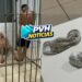 BOCA DO CARECA: Força Tática do 9º prende apenado e comparsas com drogas na zona sul