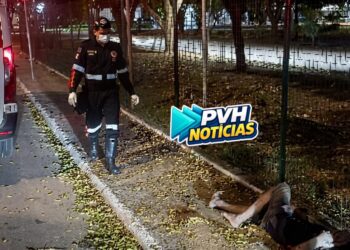 PULOU A CERCA: Acusado de tentar furtar bike é surrado no Skate Parque