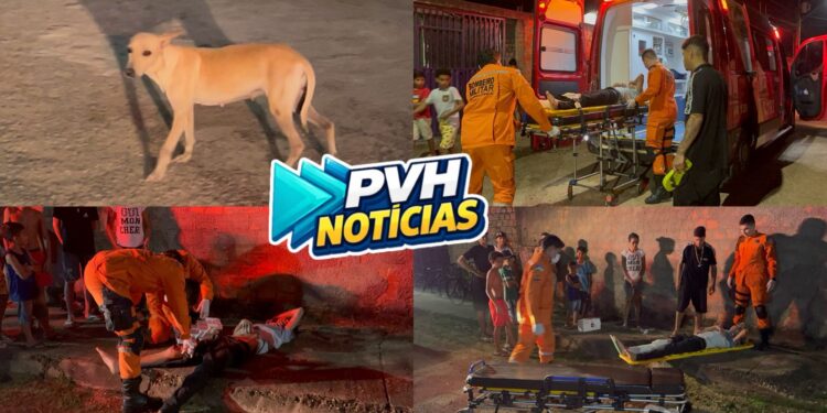 URGENTE: Jovem sofre fratura exposta após queda de moto ao tentar desviar de cachorro