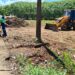 Após solicitação de Edimilson Dourado, área do bairro Aeroclube recebe mutirão de limpeza