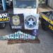 AÇÃO CONJUNTA: Denarc e Receita Federal apreendem 73kg de drogas em caminhão na BR-319