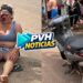URGENTE: Motociclista fica desmaiada apôs passar em lombada e cair na zona sul