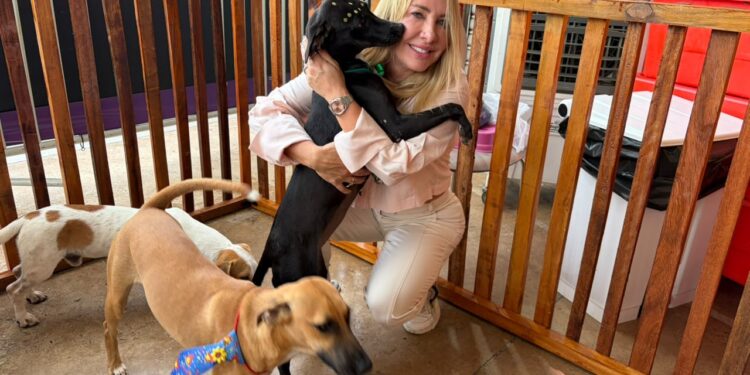 Ieda Chaves prestigia feira de adoção pet em Porto Velho com dezenas de animais acolhidos