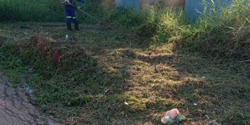 Após solicitação do vereador Edimilson Dourado, Prefeitura intensifica limpeza no bairro Nova Floresta