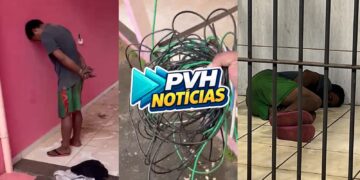 VÍDEO: Guarnição do sgt Ribeiro prende ladrão durante furto de fios em residência na leste