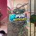 VÍDEO: Guarnição do sgt Ribeiro prende ladrão durante furto de fios em residência na leste