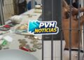 SAIU CORRENDO: Suspeito é preso com drogas após tentar fugir na zona leste