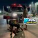 SOLTO NA RUA: Motociclista sofre queda por causa de cachorro no centro