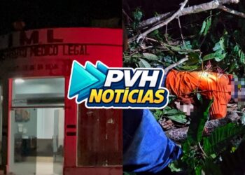 URGENTE: Homem morre atingido por árvore durante derrubada