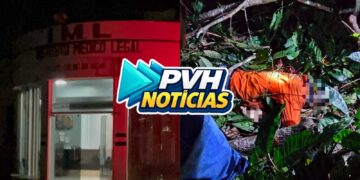 URGENTE: Homem morre atingido por árvore durante derrubada
