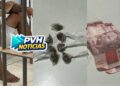 É TETRA: Adolescente é apreendido pela quarta vez enquanto vendia drogas no centro
