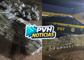 NA BR-364: PRF prende passageiros de táxi com mais de 200kg de “supermaconha” em Porto Velho