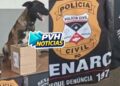 NA TRANSPORTADORA: Operação do Denarc apreende haxixe sendo enviado em pote de suplemento para outro estado