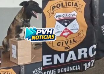 NA TRANSPORTADORA: Operação do Denarc apreende haxixe sendo enviado em pote de suplemento para outro estado