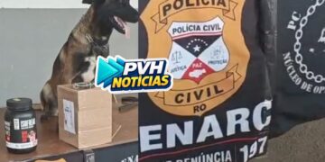 NA TRANSPORTADORA: Operação do Denarc apreende haxixe sendo enviado em pote de suplemento para outro estado