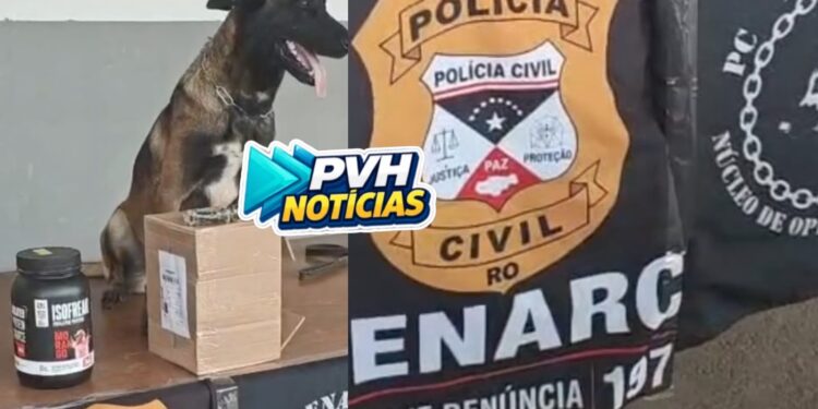 NA TRANSPORTADORA: Operação do Denarc apreende haxixe sendo enviado em pote de suplemento para outro estado