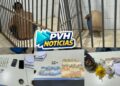 BECO ELETRONORTE: Cunhados são presos acusados de comandar duas bocas de fumo na leste