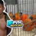 ATUALIZADA: Vulgo “Pedrinho” é espancado até a morte em cela do 603; oito são acusados do crime