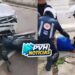 ATUALIZADA: Passageira de moto fica em estado grave após batida com carro no centro
