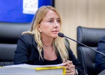 Ieda Chaves faz balanço de trabalho parlamentar que reúne R$ 61 milhões e quase 20 leis