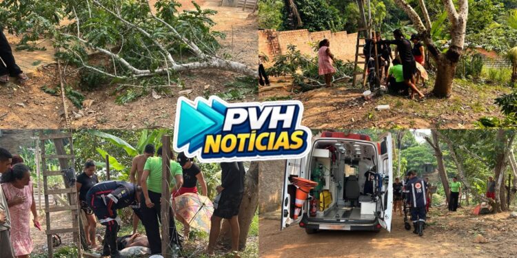URGENTE: Venezuelano sofre queda enquanto podava pé de seriguela na zona sul