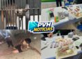 URGENTE: Traficante pula de prédio e quebra perna tentando fugir, e comparsa é preso no Orgulho do Madeira