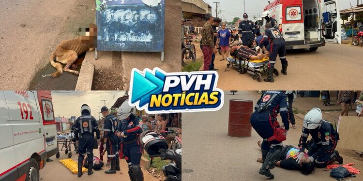 URGENTE: Moto atropela cachorro e passageira fica gravemente ferida na zona leste
