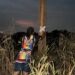 Vereador Edimilson Dourado busca atender demandas dos moradores do Assentamento Canaã