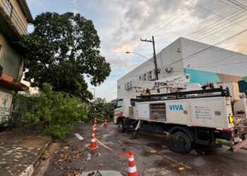 Vereador Edimilson Dourado solicita poda preventiva de árvores na Zona Sul para evitar quedas e desabastecimento de energia